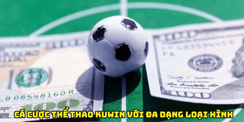 Cá cược thể thao Kuwin với đa dạng loại hình