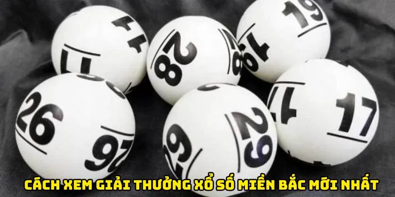 Hướng dẫn cách xem giải thưởng xổ số miền Bắc mới nhất