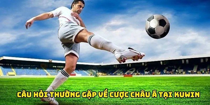 Câu hỏi thường gặp về cược châu Á tại Kuwin