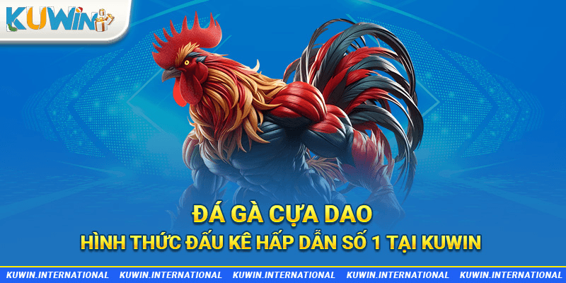 đá gà cựa dao