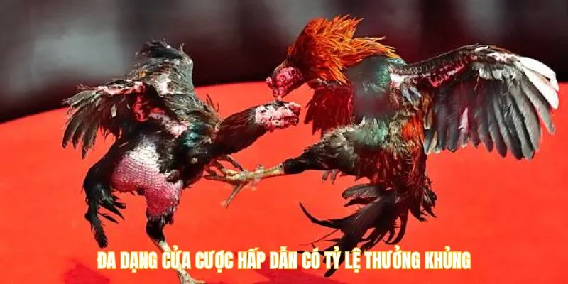 Đa dạng cửa cược hấp dẫn có tỷ lệ thưởng khủng