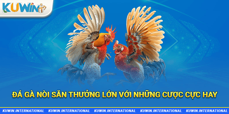 đá gà nòi