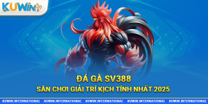 đá gà sv388