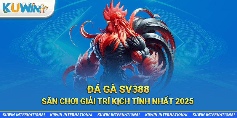 đá gà sv388