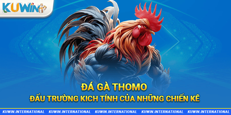 đá gà thomo