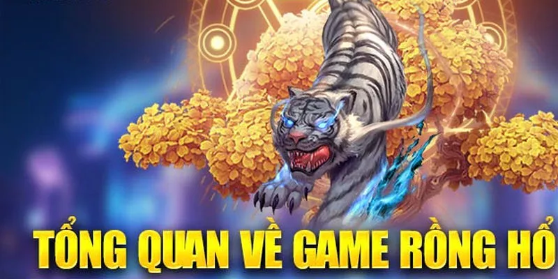 Rồng Hổ Kuwin là trò chơi đánh bạc đơn giản & hình thức đặt cược hấp dẫn