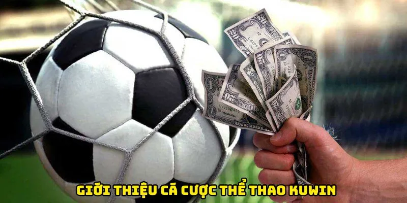 Giới thiệu về cá cược thể thao tại Kuwin