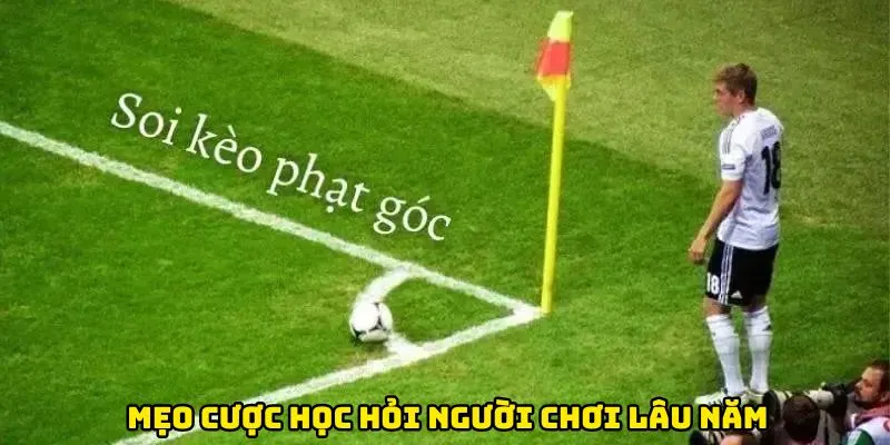Mẹo cược học hỏi người chơi lâu năm 