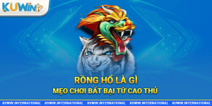 rồng hổ