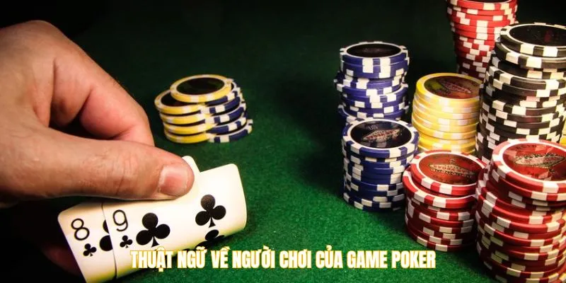 Thuật ngữ về người chơi của game Poker tại link Kuwin 